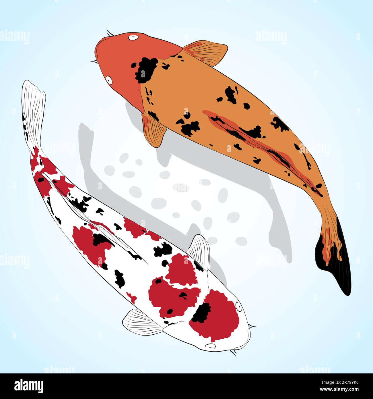 6,900+ Koi Fish Stock Illustrations, Royalty-Free Vector Graphics & Clip  Art - iStock