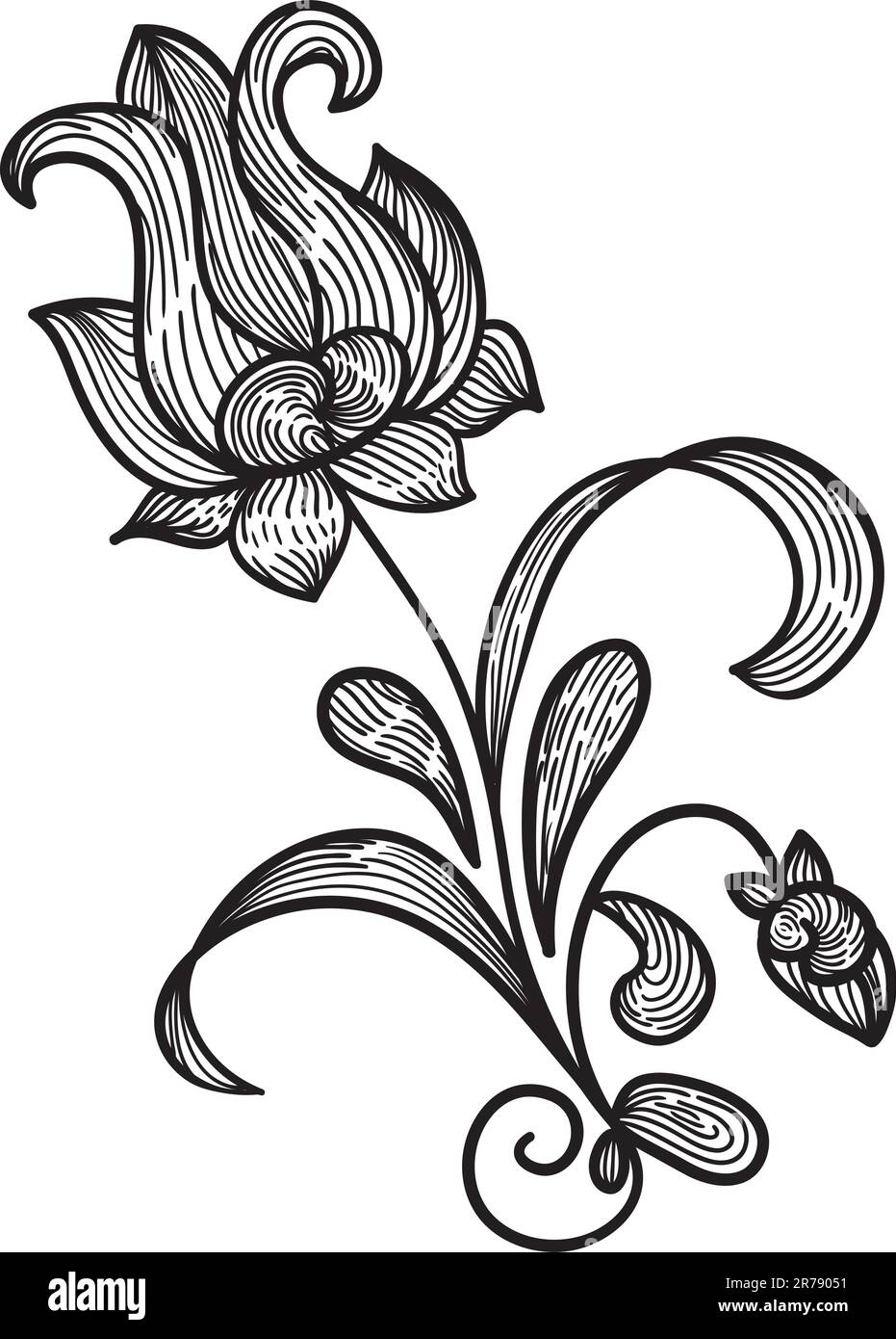 vector floral design element, vintage Stock Vector Image & Art - Alamy