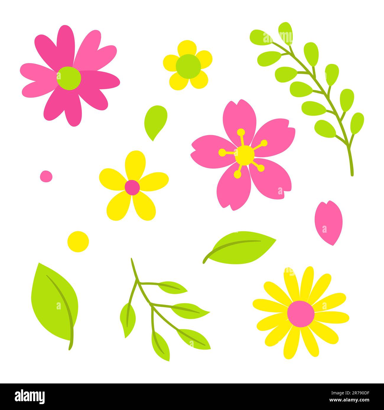 Set of spring flowers. Beautiful decorative natural plants, buds and ...
