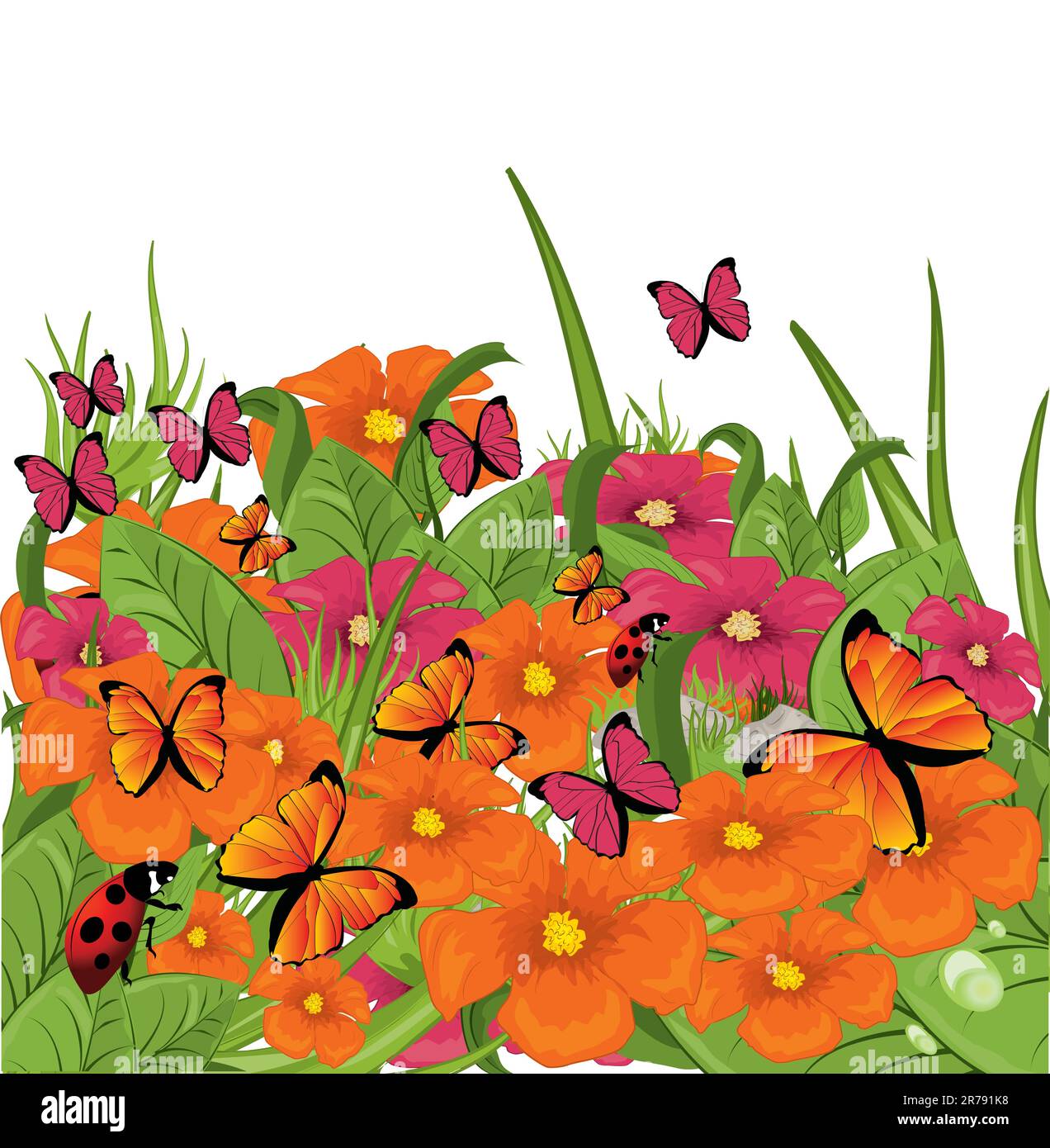 Wildflowers Stock Vector