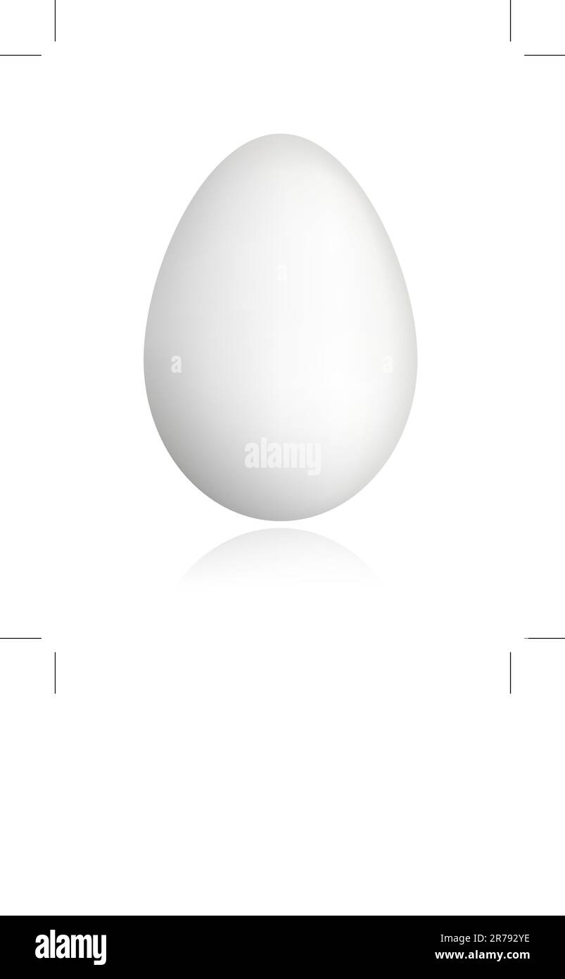 White egg for your design Stock Vector