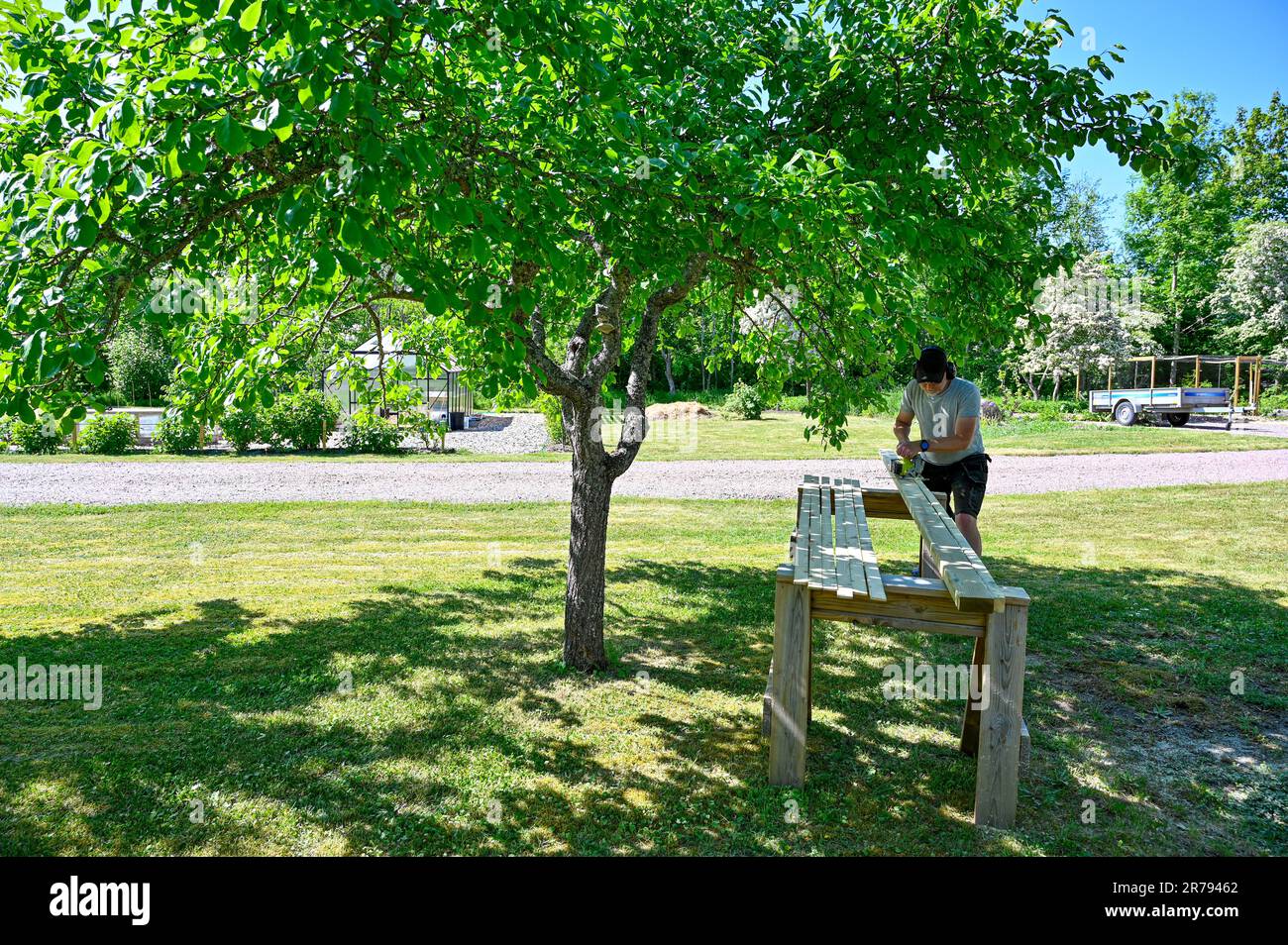 man standing in garden cutting planks with circle saw Stock Photo - Alamy