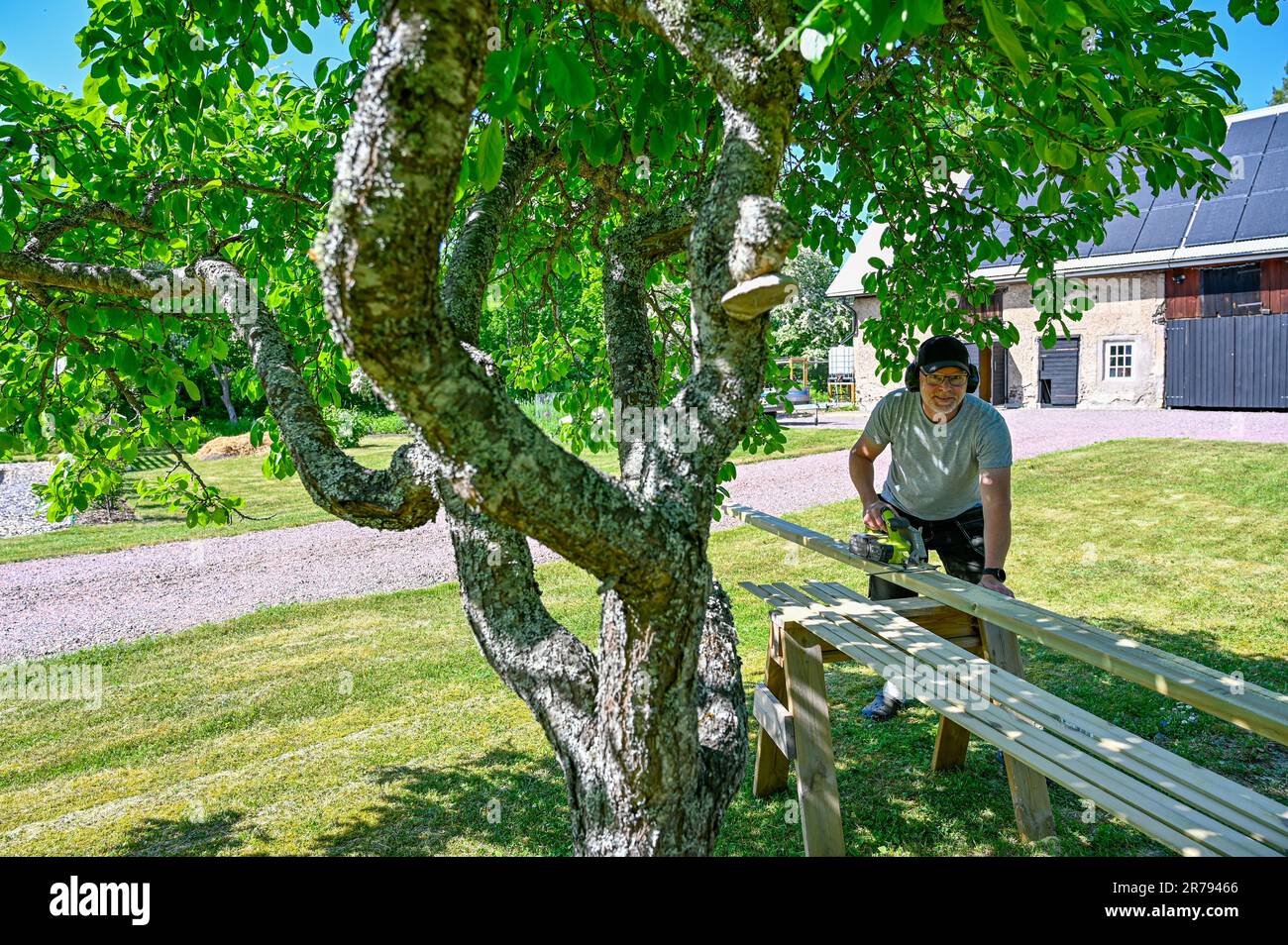 man standing in garden cutting planks with circle saw Stock Photo - Alamy