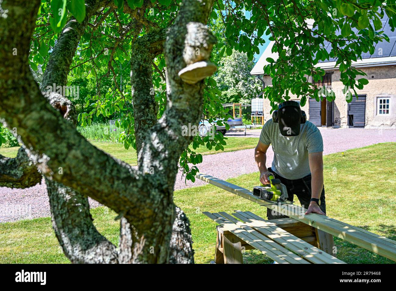 man standing in garden cutting planks with circle saw Stock Photo - Alamy