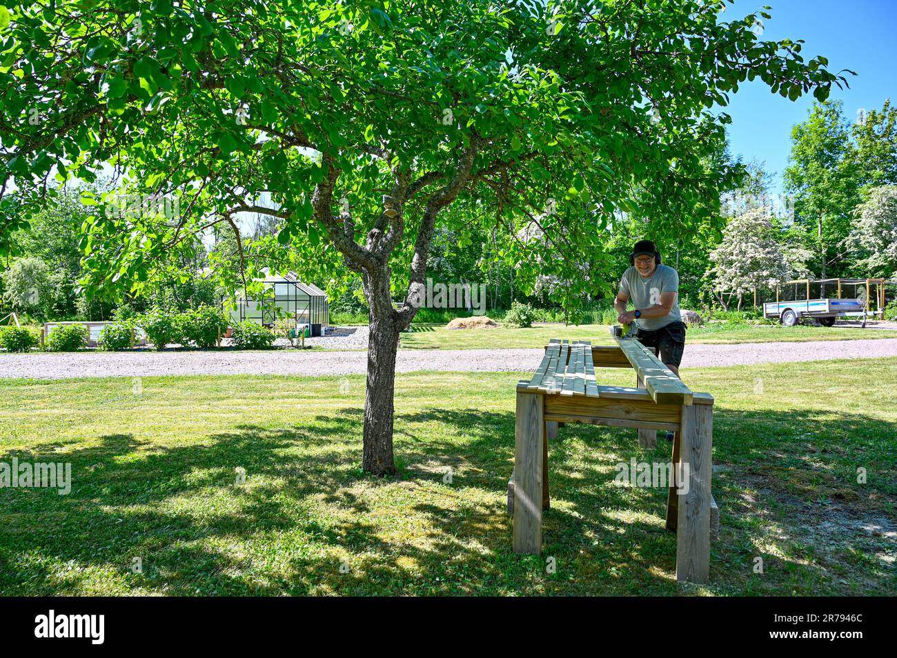 man standing in garden cutting planks with circle saw Stock Photo - Alamy