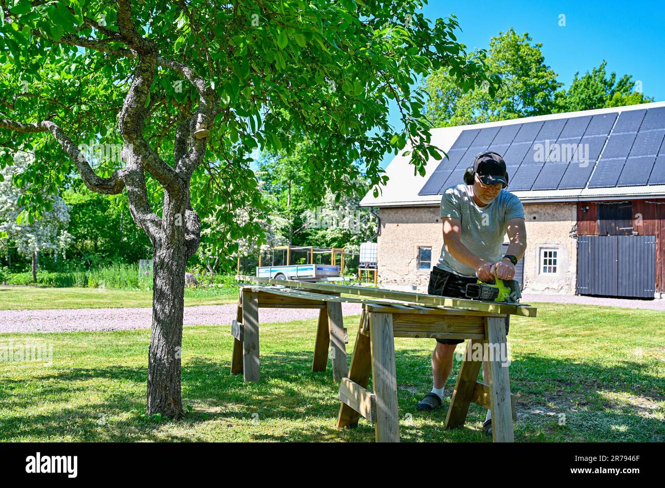 man standing in garden cutting planks with circle saw Stock Photo - Alamy