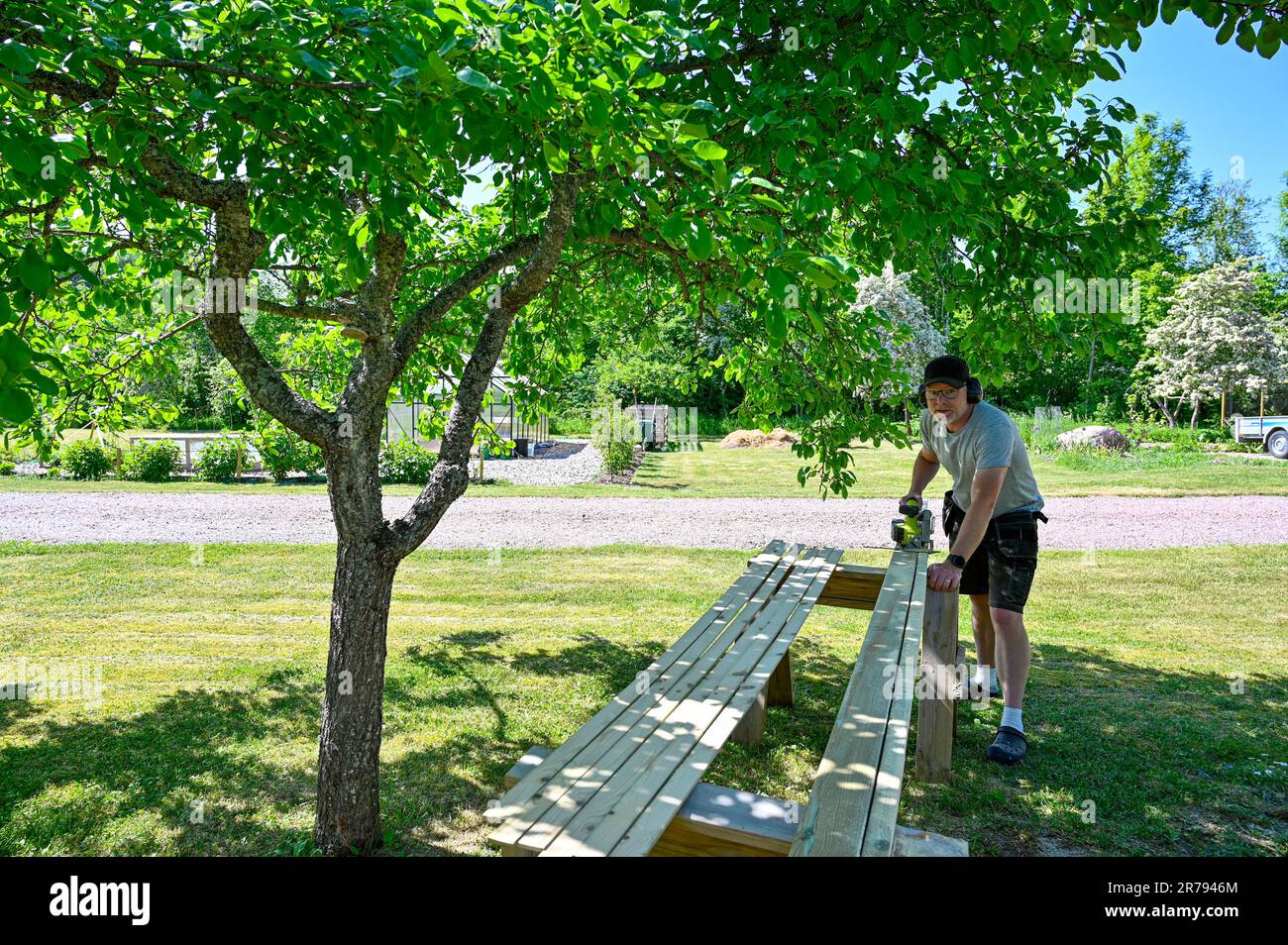 man standing in garden cutting planks with circle saw Stock Photo - Alamy