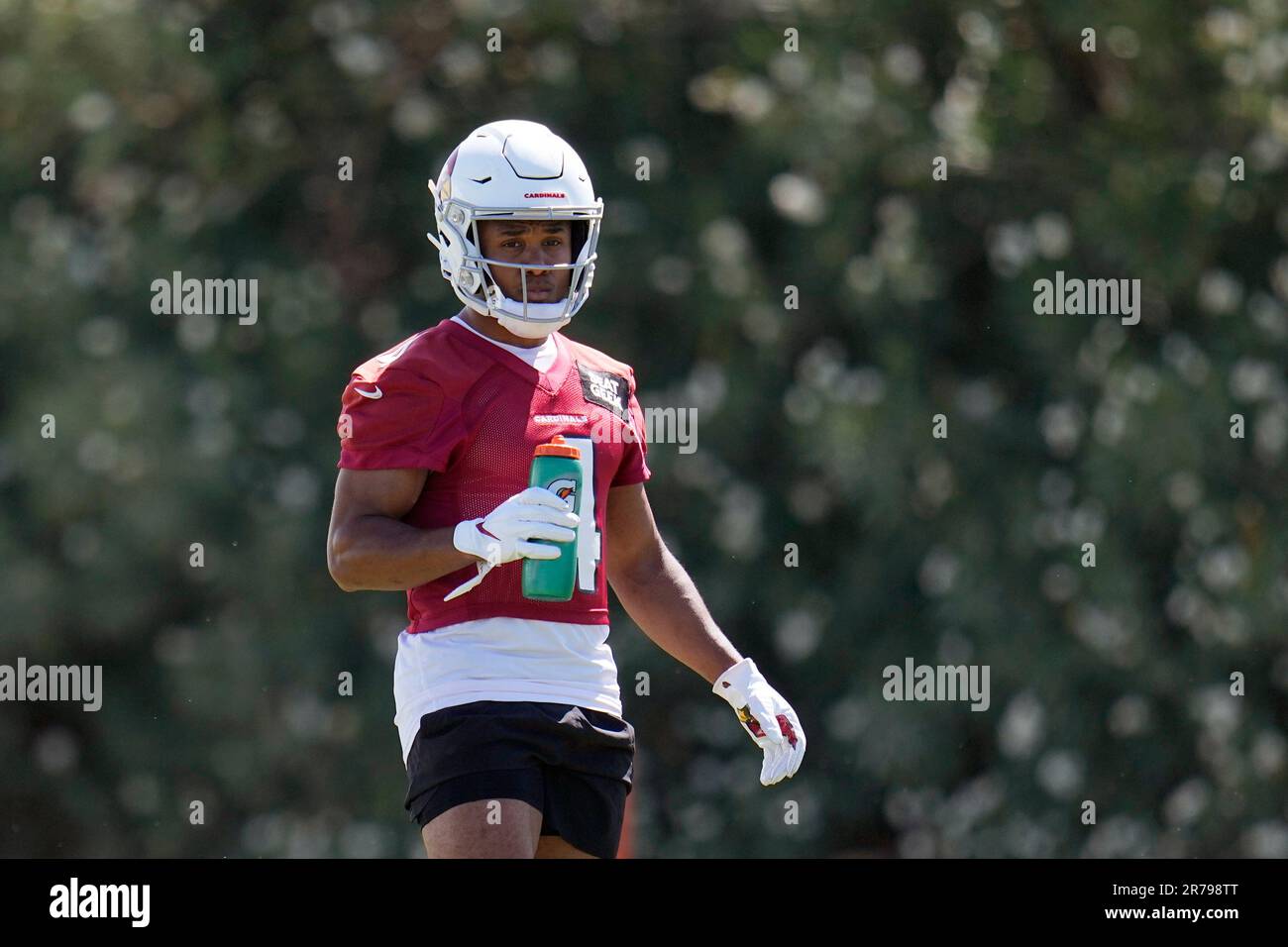 Arizona Cardinals wide receiver Rondale Moore pauses on the