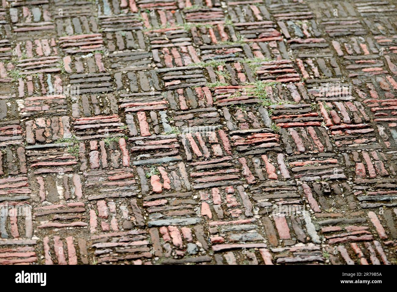 Old indian brickwork in Agra red fort, masonry walkway covered with green moss unusual patterns, red brick masonry pattern on ground, ancient indian s Stock Photo