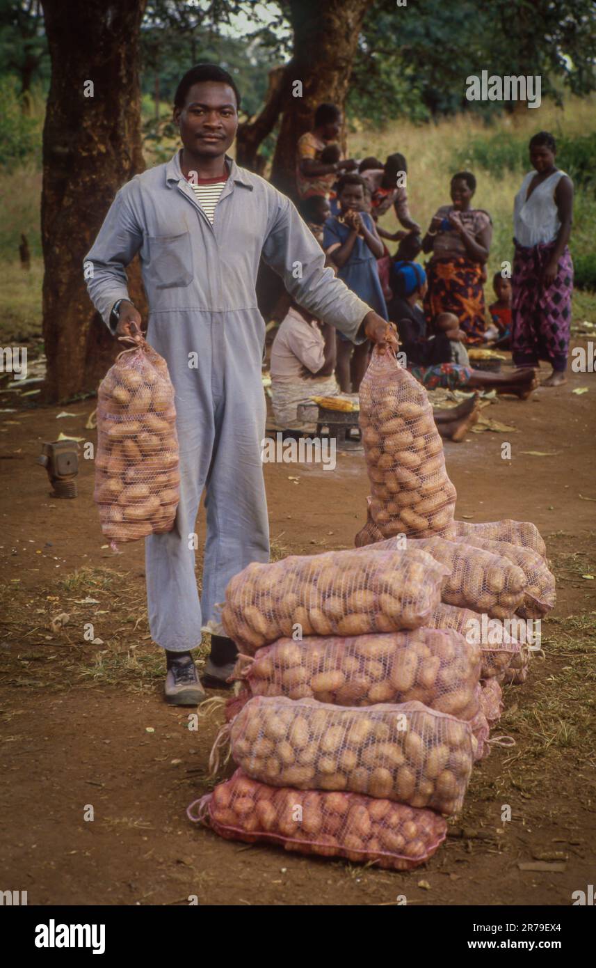 Zambia, outside Lusaka potatoes are sold along the road. Stock Photo