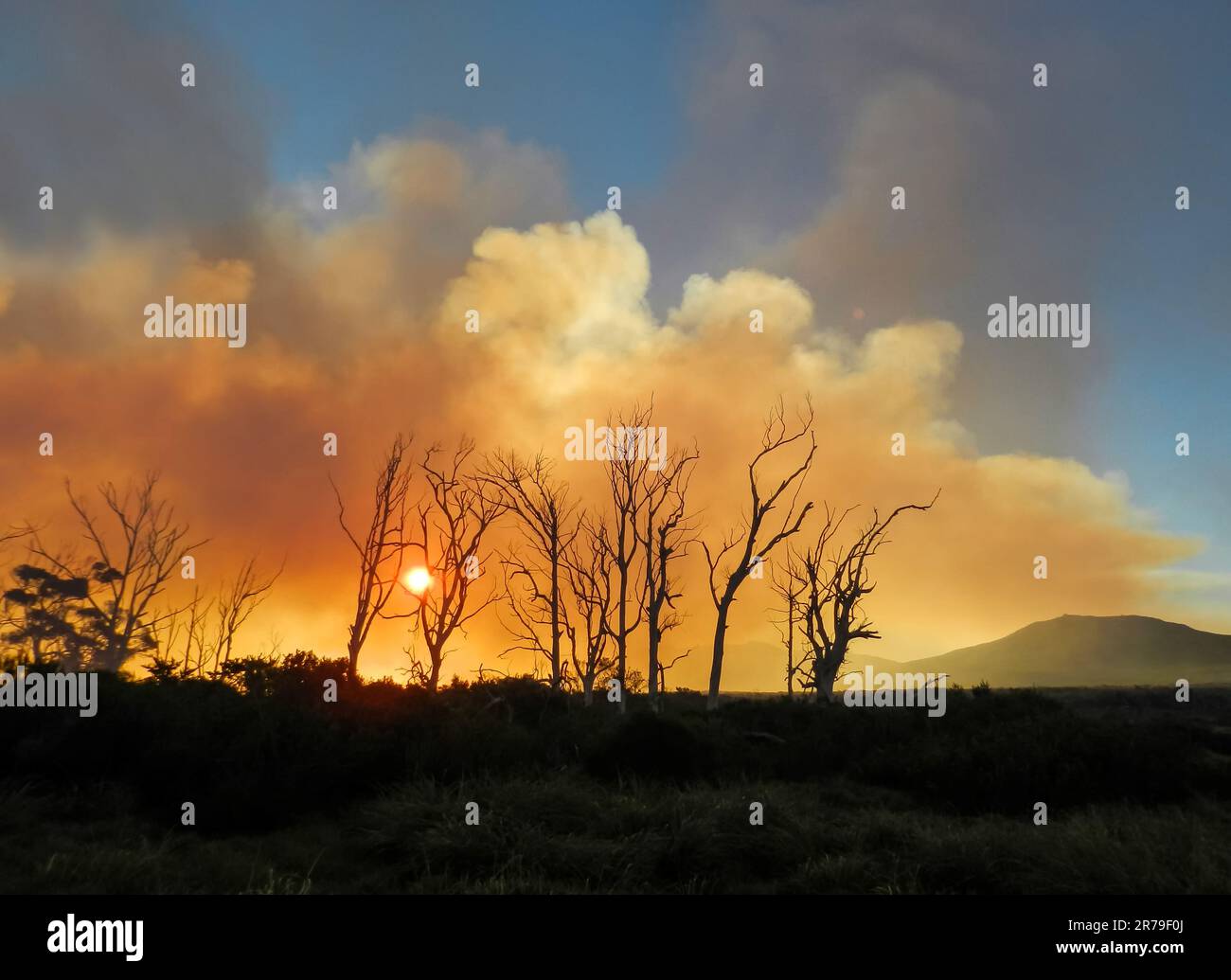 Smoke and clouds caused by a wildfire in the Western Cape, South Africa Stock Photo