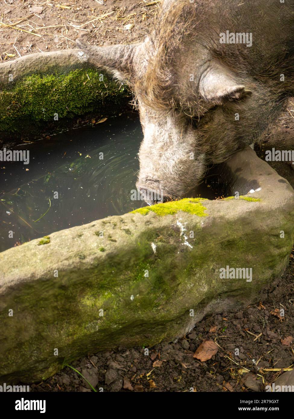 Beamish Museum pt2 Stock Photo