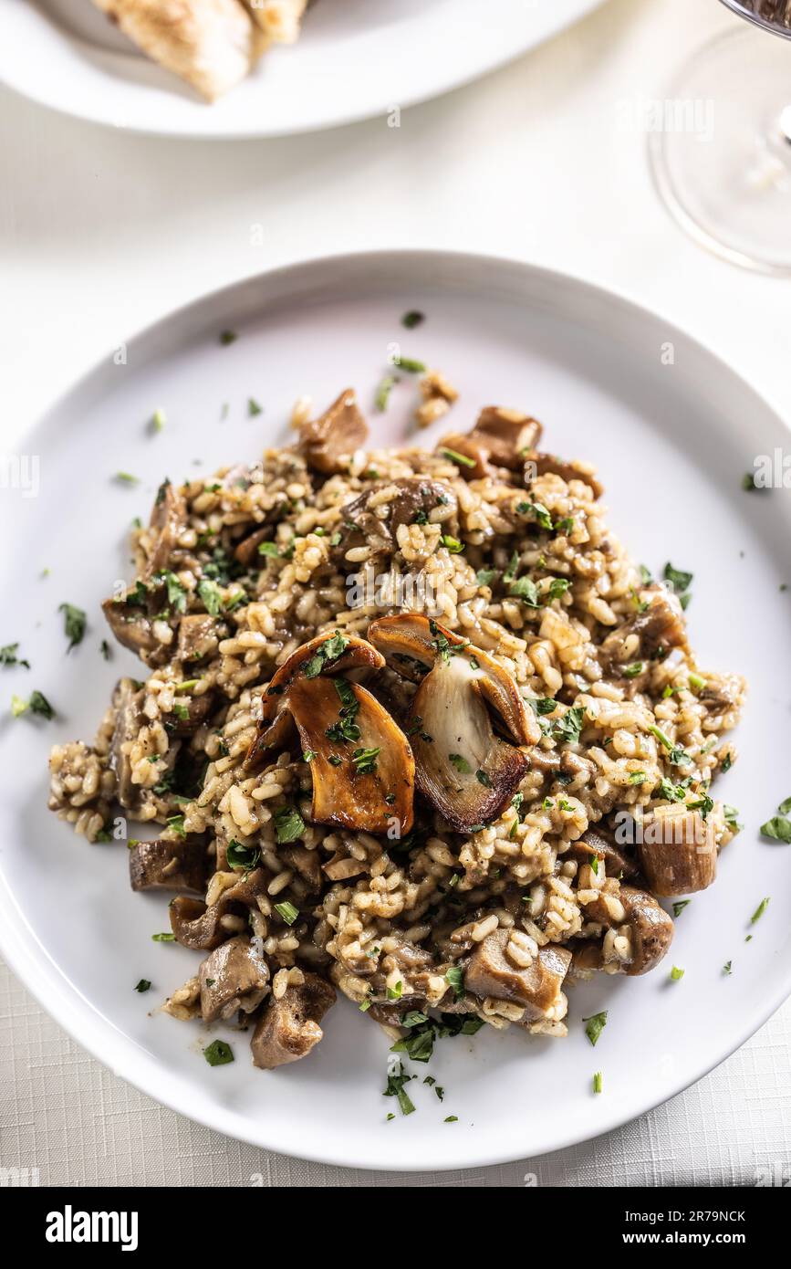 Top view of a speltotto or risotto with two big mushrooms on top. Stock Photo
