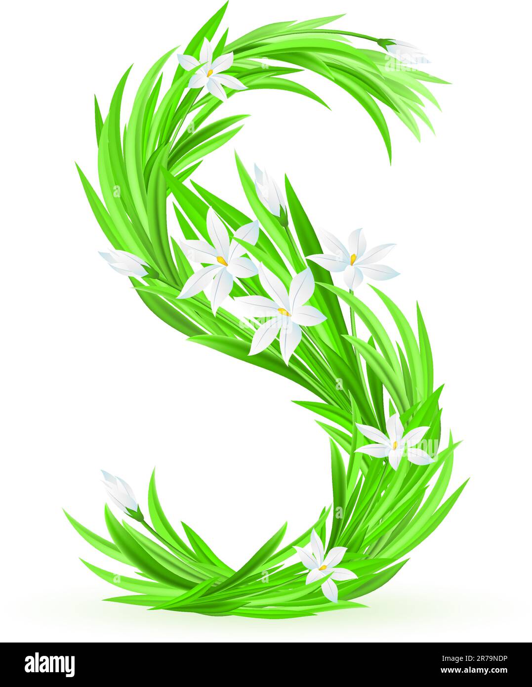 One letter of spring flowers alphabet - S. Illustration on white ...