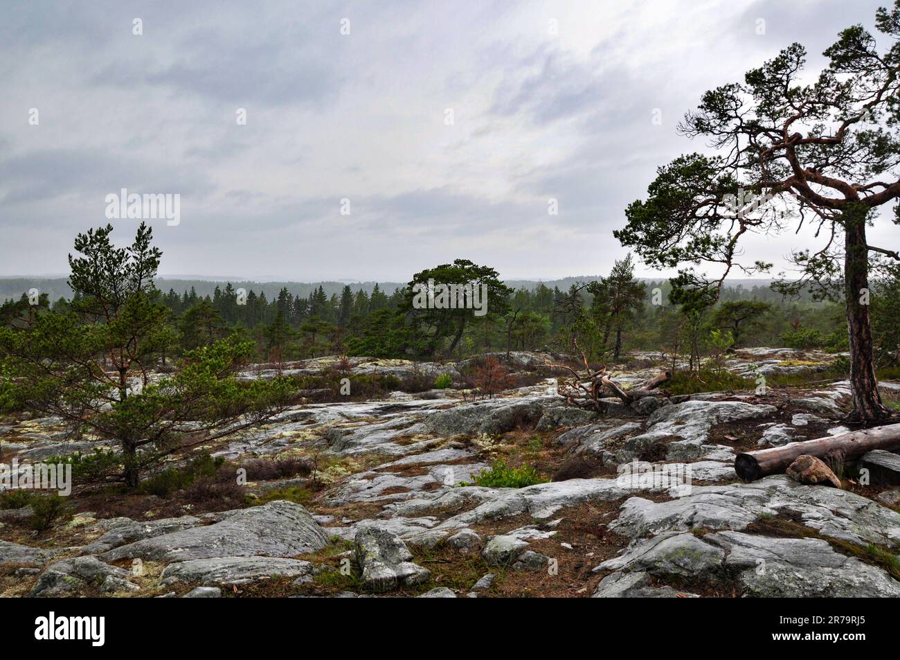 Peace quiet nature hi-res stock photography and images - Alamy