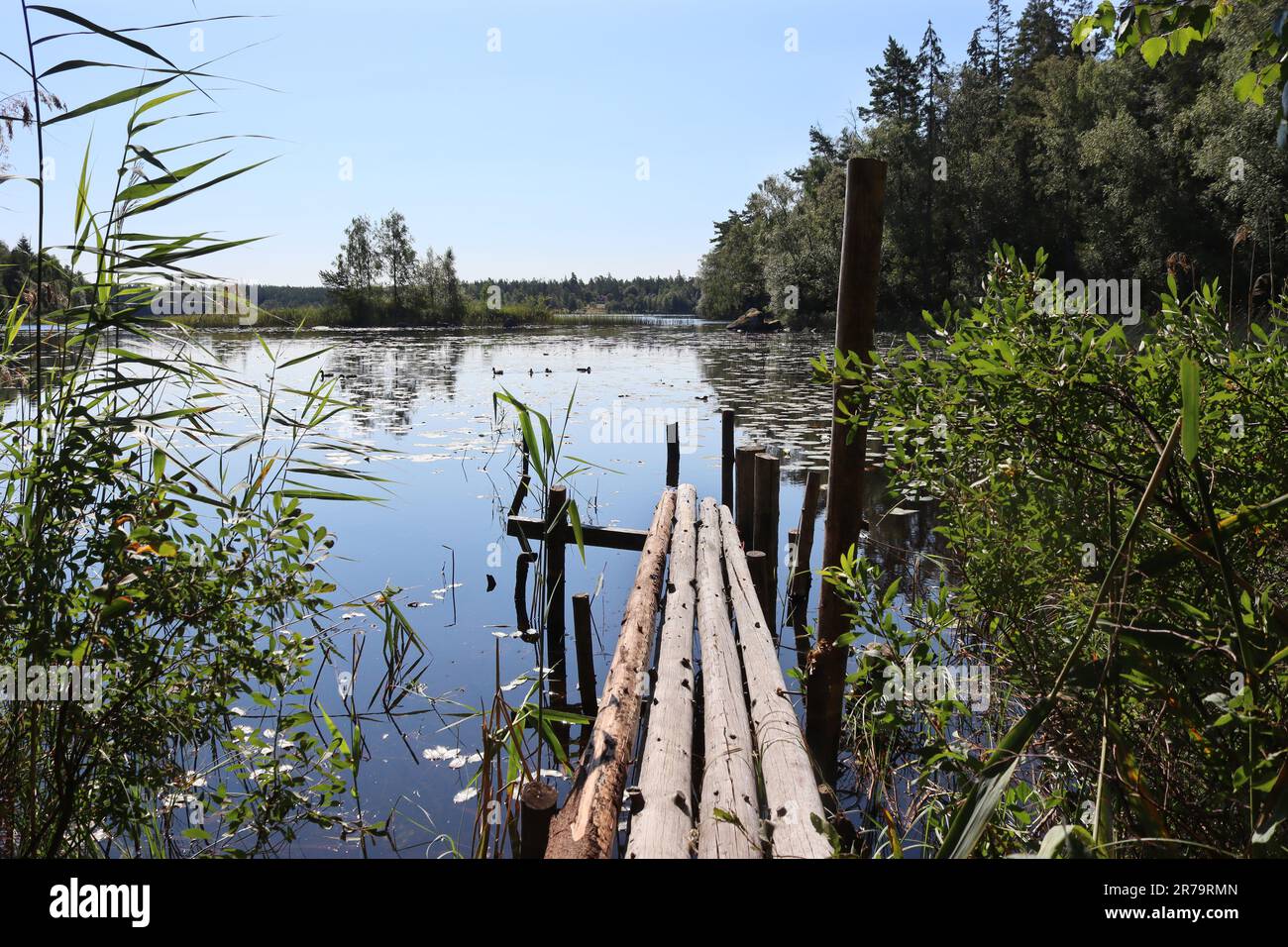Sunny summer view of beautiful Lake Aras near Urshult in Sweden. Typical Swedish lake in the province of Smaland, with rustic wooden jetty and surroun Stock Photo