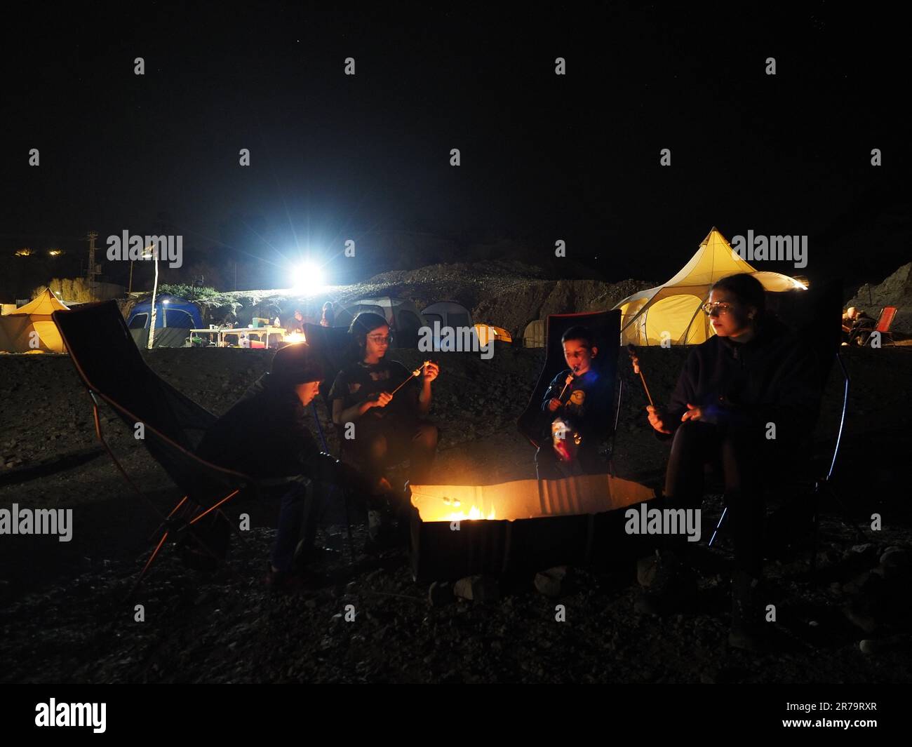 camping children. kids sitting around campfire roasting marshmallow
