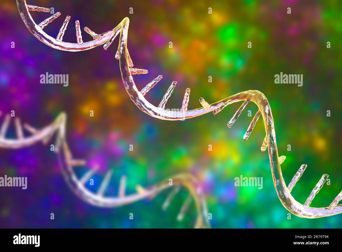 Molecular model of messenger ribonucleic acid (mRNA), computer