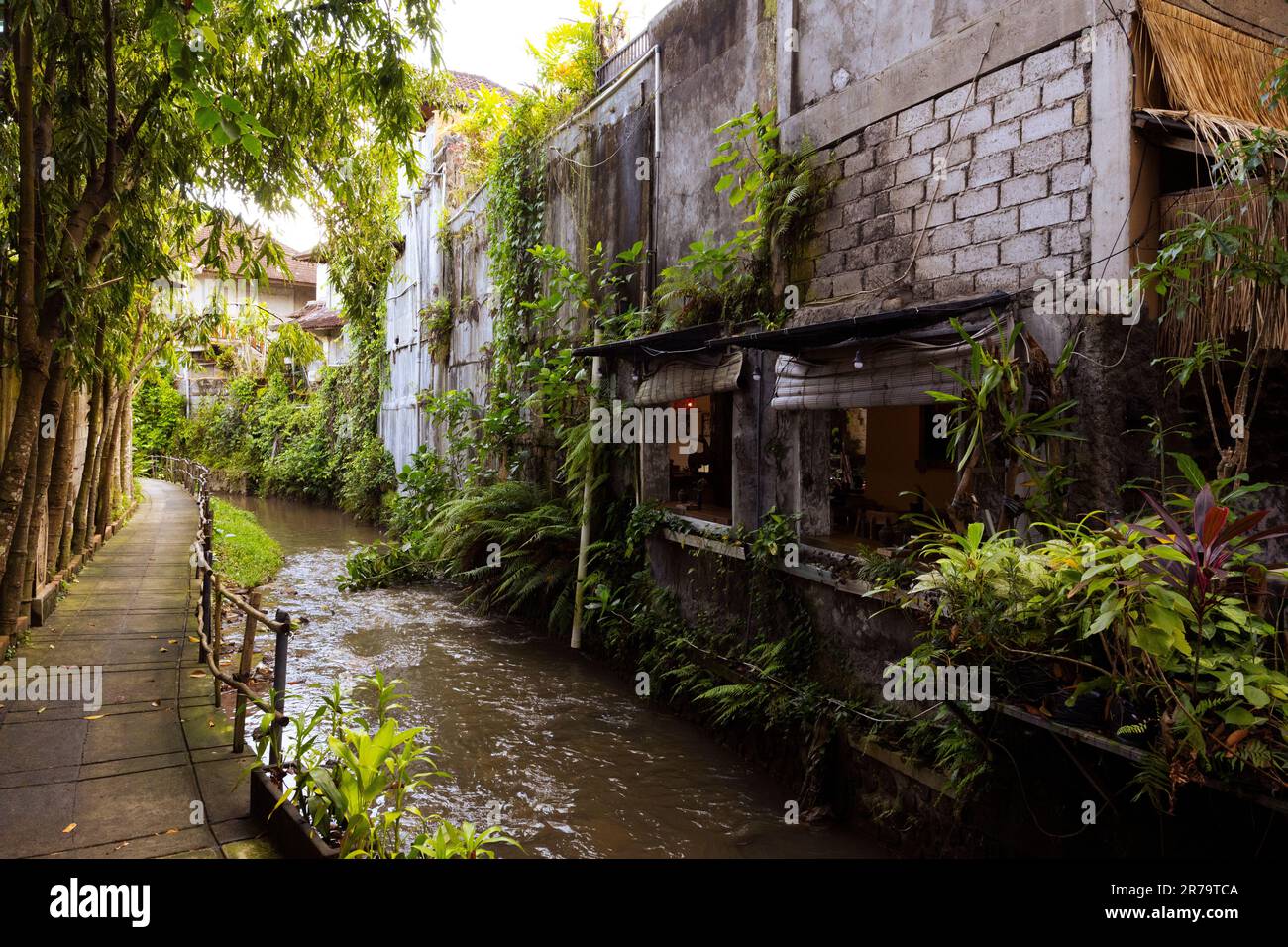 Reflection along shore pathway hi-res stock photography and images - Alamy