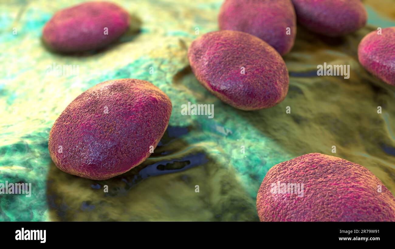 Nematode worm eggs, 3D illustration. Close-up view of worm eggs with highly detailed texture. Stock Photo