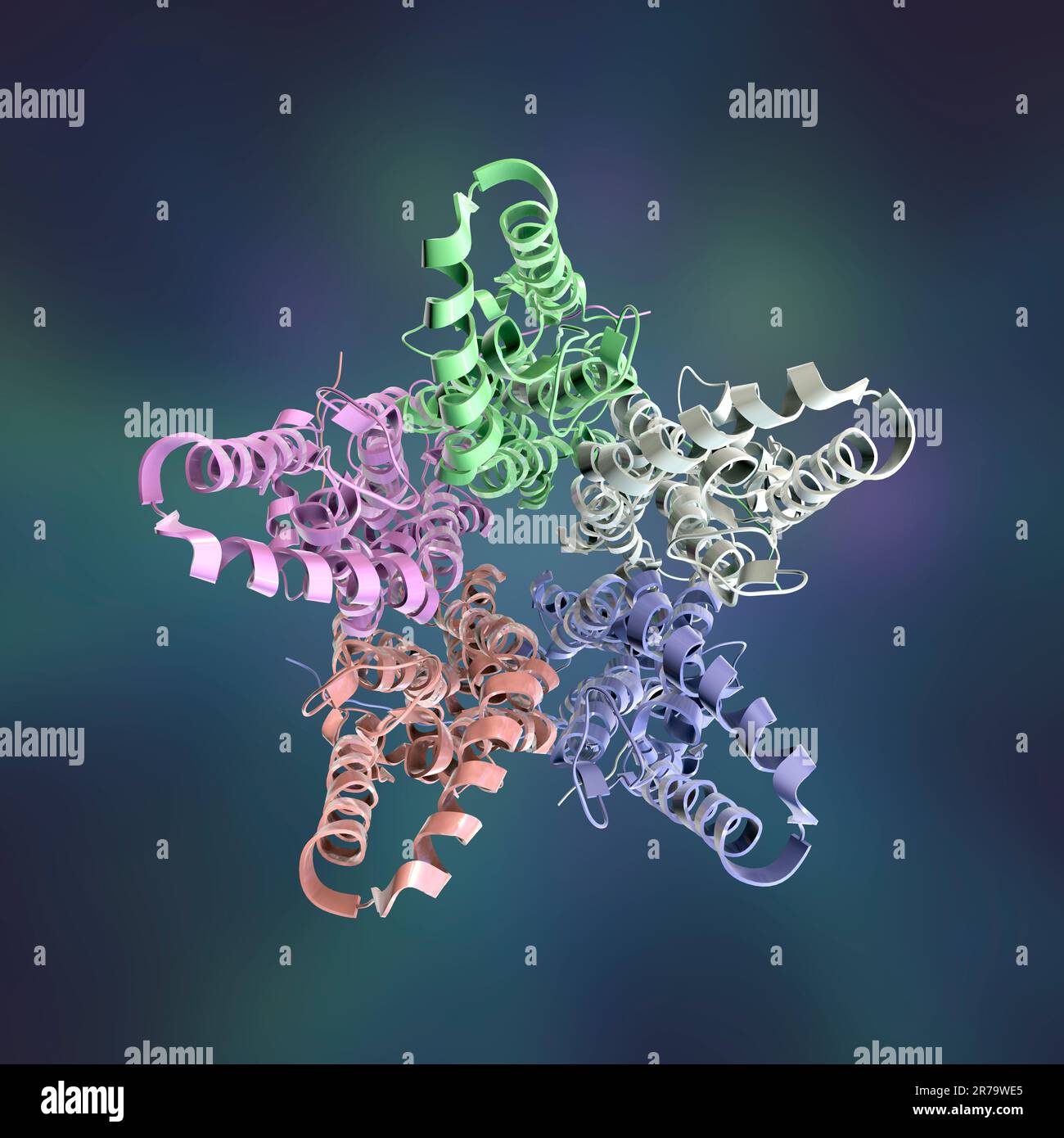 Molecular model of Bestrophin-1 (Best 1) protein, 3D illustration. A protein responsible for regulating calcium signaling in cells. Mutation of Best1 Stock Photo