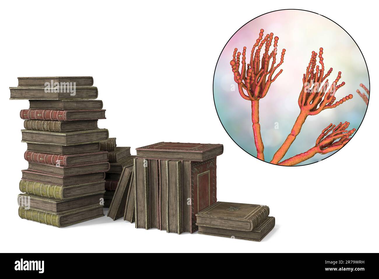 Mold in old books, conceptual 3D illustration. Antique books and close-up view of mold fungi Penicillium, the most common microscopic fungus found in Stock Photo