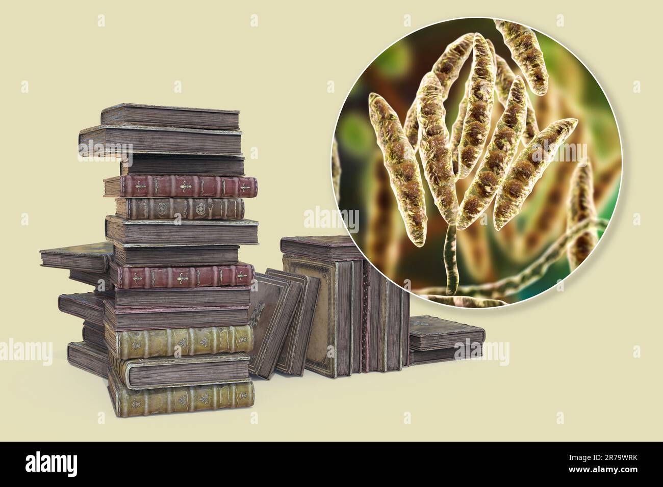 Microscopic view of paper hires stock photography and images Alamy