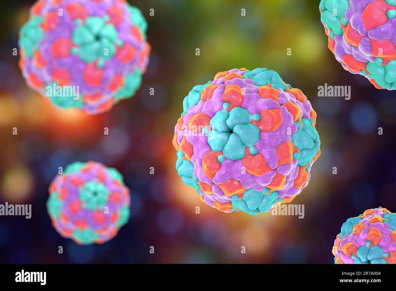 Human Parechovirus on colorful background, 3D illustration. Parechoviruses cause respiratory, gastrointestinal infections, are associated with brain d Stock Photo