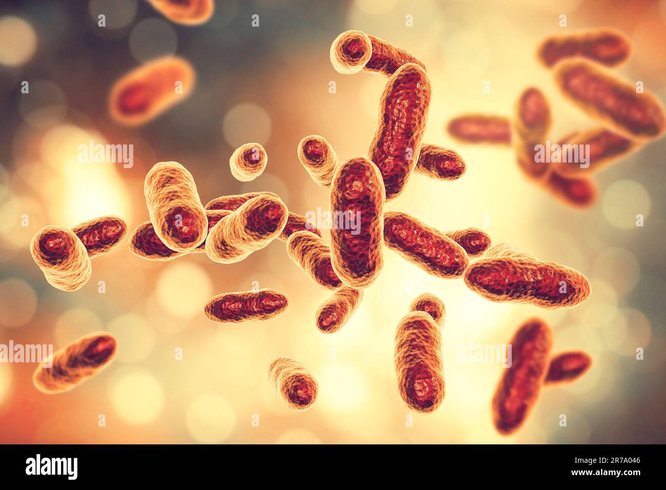 Tannerella forsythia bacteria, 3D illustration. Gram-negative anaerobic bacteria that cause periodontal diseases and have found to be associated with Stock Photo