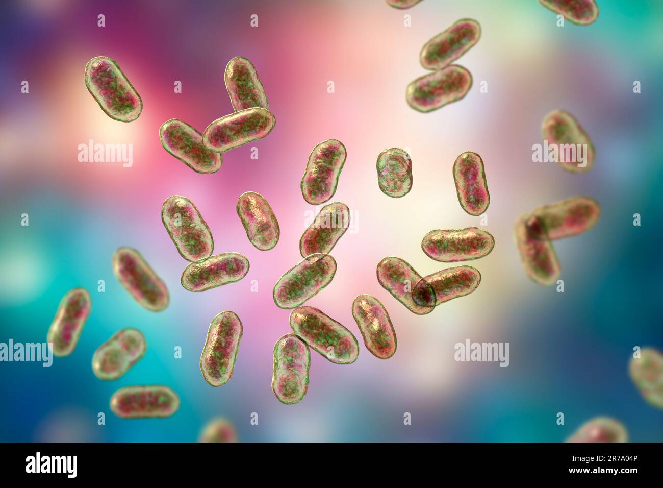 Prevotella bacteria, 3D illustration. Gramnegative anaerobic bacteria