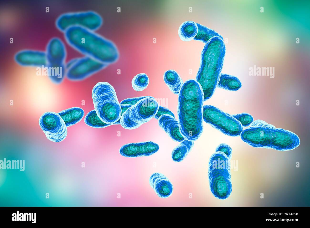 Tannerella forsythia bacteria, 3D illustration. Gram-negative anaerobic bacteria that cause periodontal diseases and have found to be associated with Stock Photo