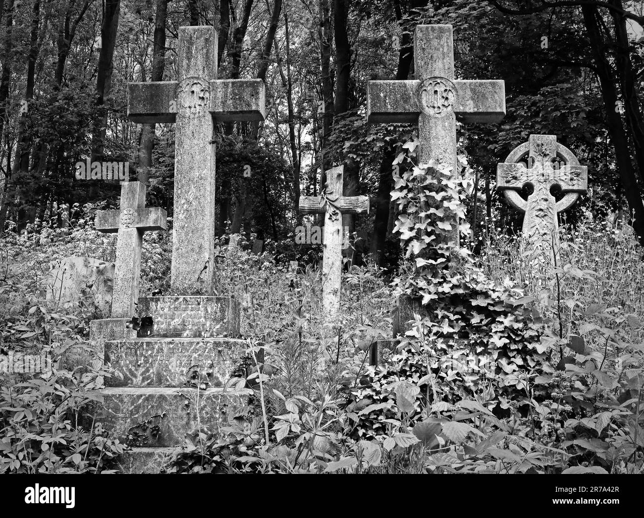 Stone crosses and grave monuments among dense greenery in Highgate Cemetery, a historic Victorian burial ground in North London, England, UK. Stock Photo