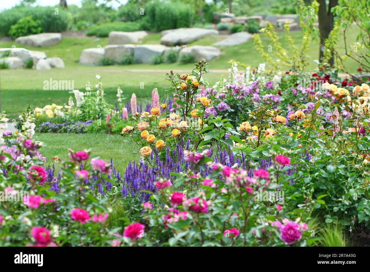 Bloomed wildflowers hi-res stock photography and images - Alamy