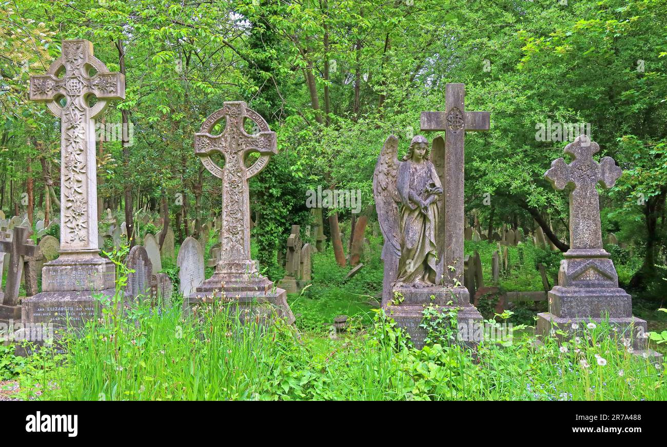 Stone crosses and grave monuments among dense greenery in Highgate Cemetery, a historic Victorian burial ground in North London, England, UK. Stock Photo