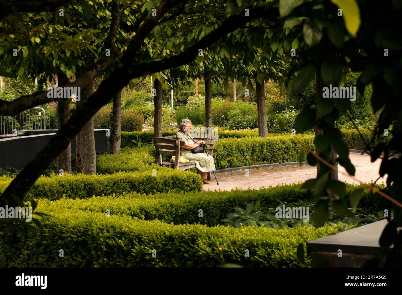 Retired lady takes a moment of contemplation amongst the greenery and tranquility of the National Botanic Gardens of Wales. Stock Photo
