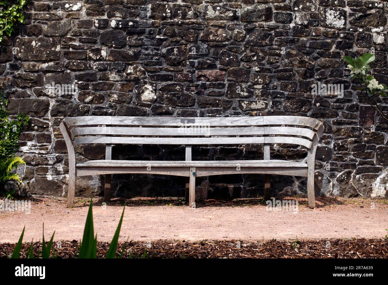 Curved wooden bench Stock Photo