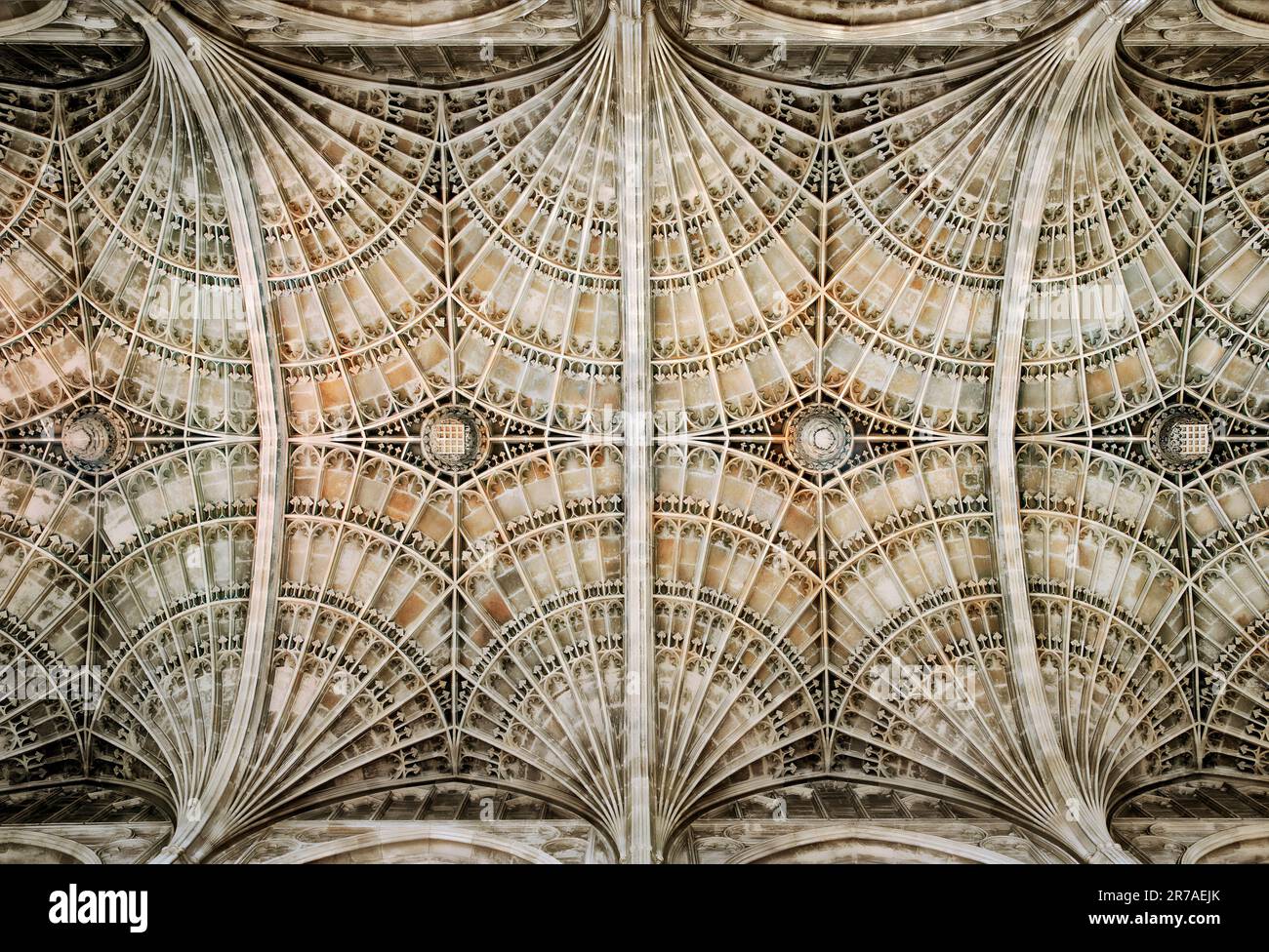 Vaulted ceiling of King's College Chapel in Cambridge, England, UK Stock Photo