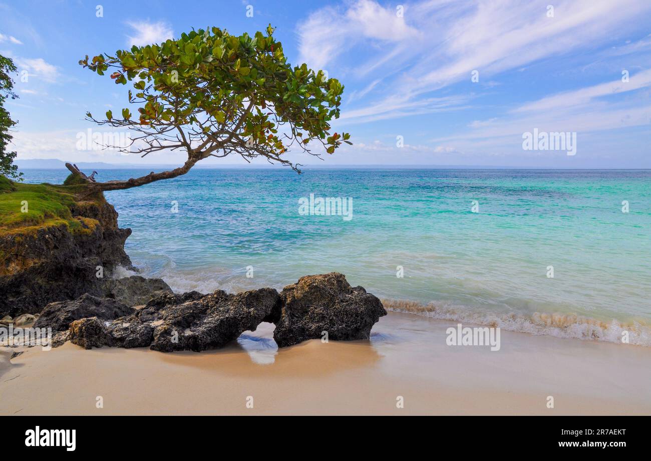 Paradise beach in the Caribbean Islands Stock Photo