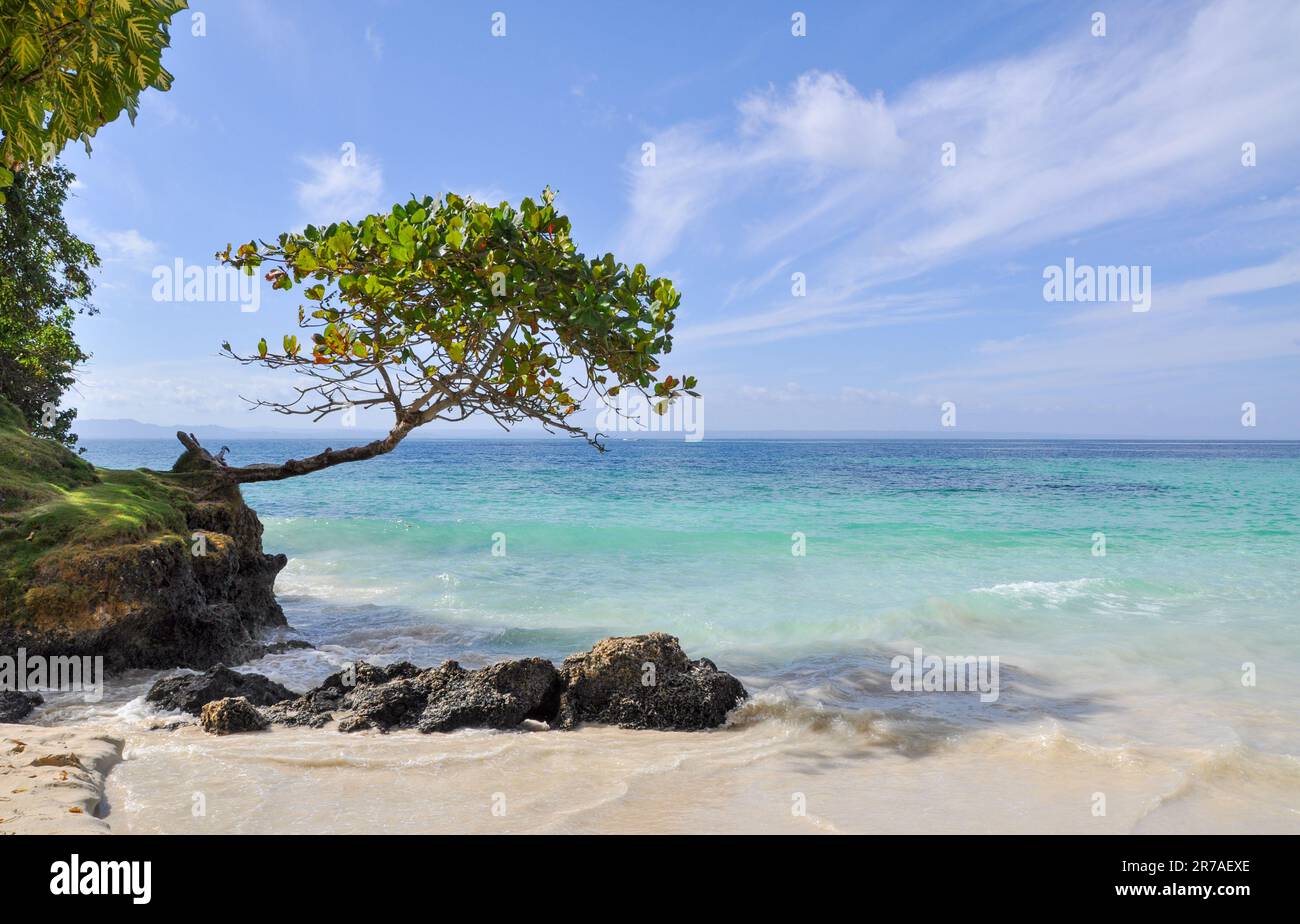 Paradise beach in the Caribbean Islands Stock Photo