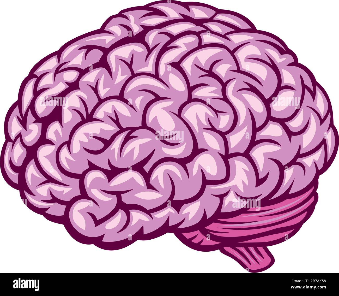 Brain. Vector Illustration Stock Vector