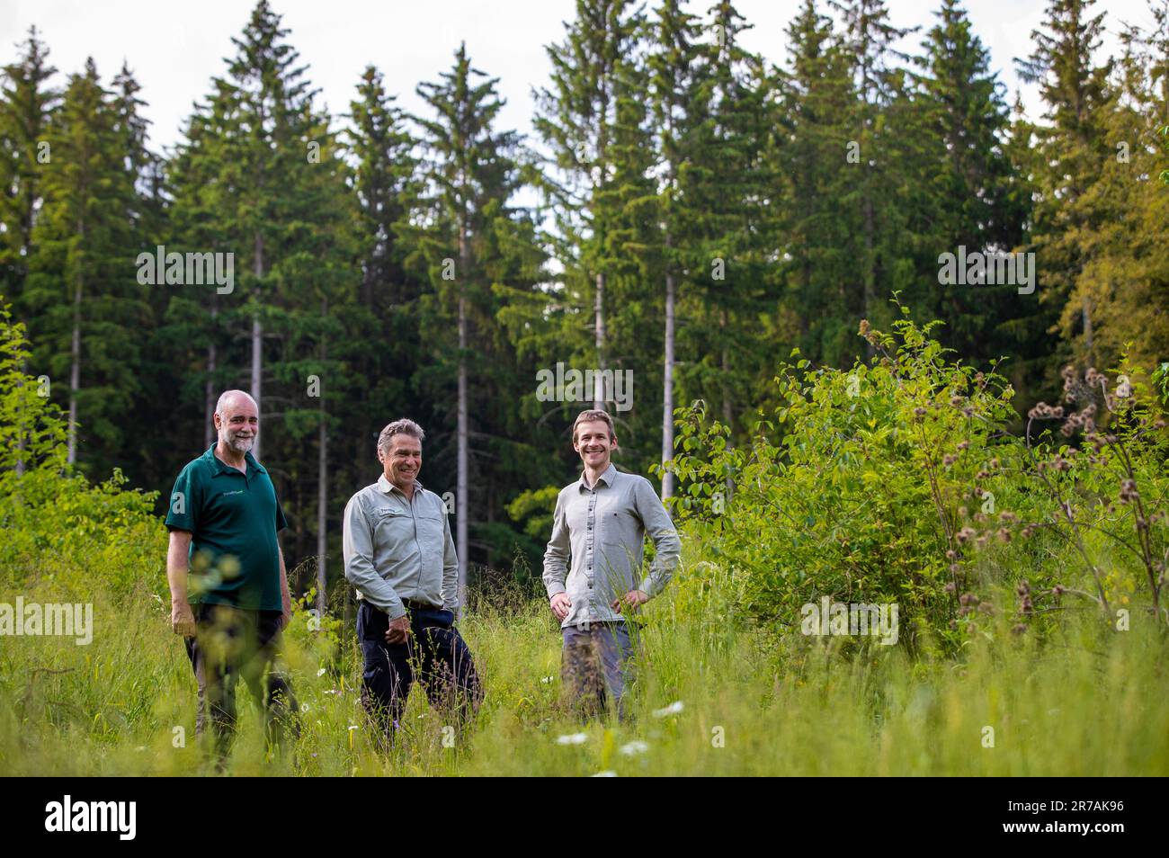 R sch hi-res stock photography and images - Page 2 - Alamy