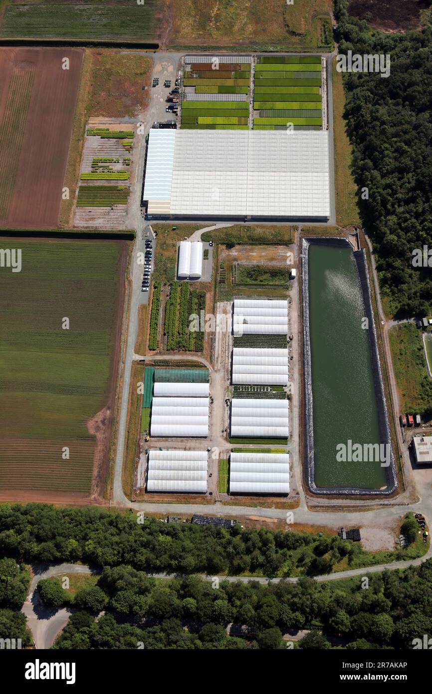 aerial view of the Lobslack corporate offices at Delamere Stock Photo