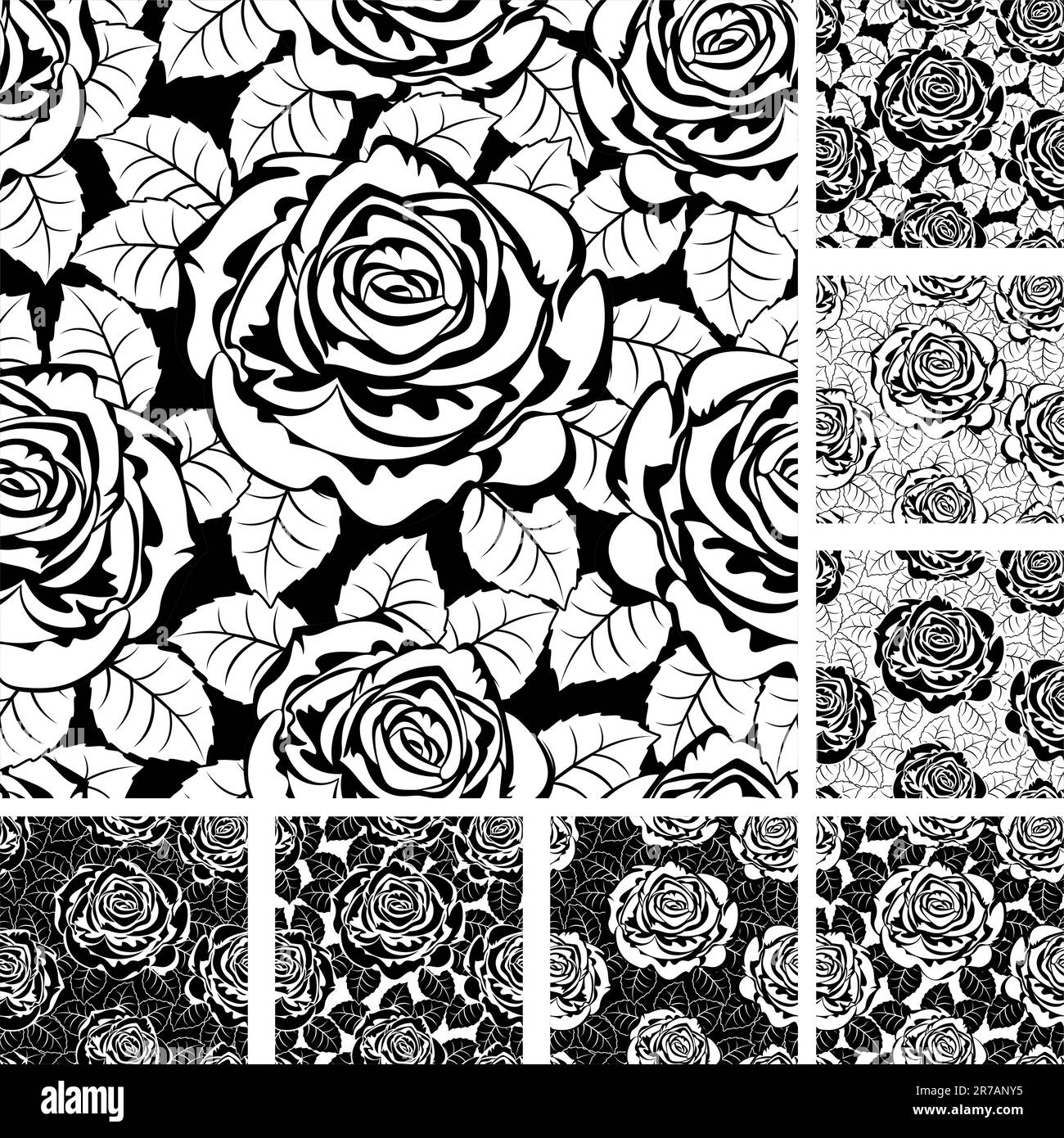 Scaled beauty Black and White Stock Photos & Images - Alamy