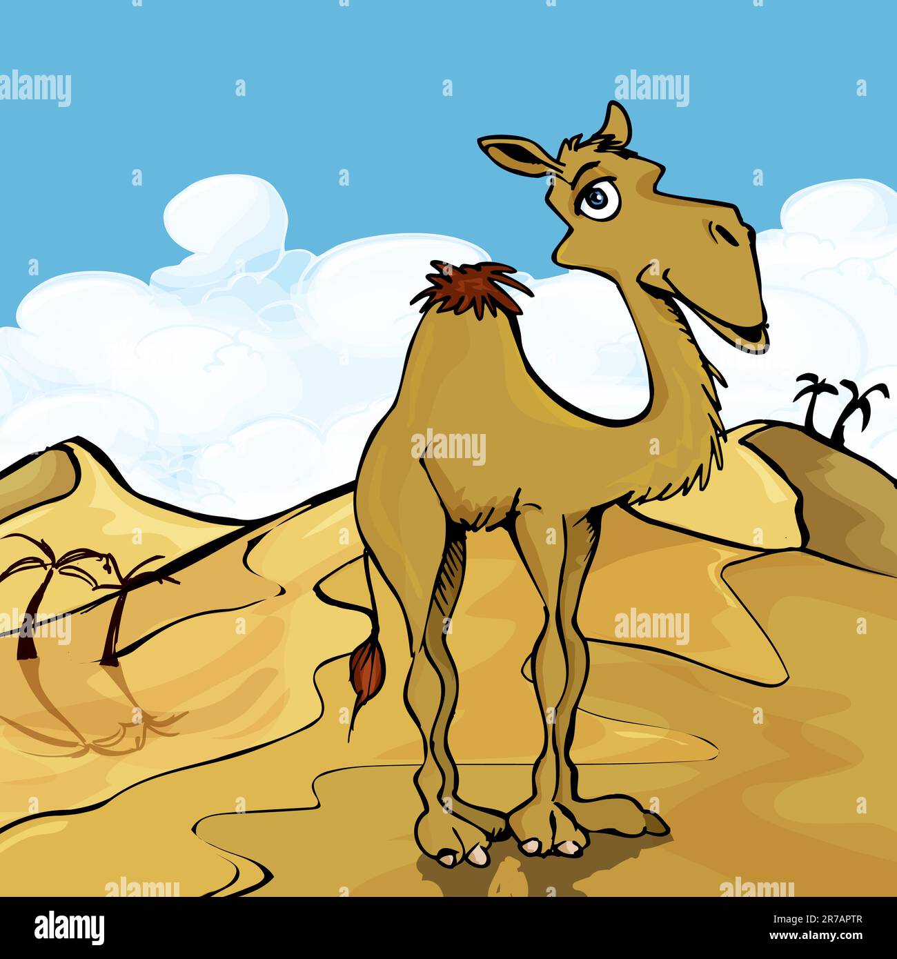 Cartoon smiling one hump Camel in the desert Stock Vector Image & Art