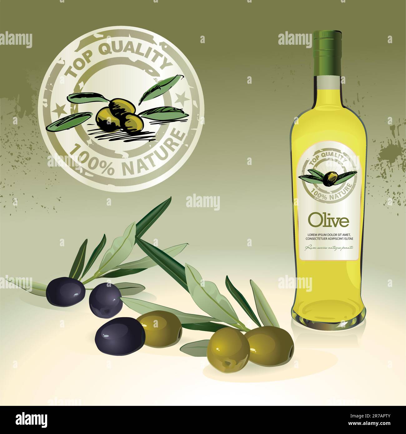 Vector illustration - olive oil bottle, label and olives Stock Vector