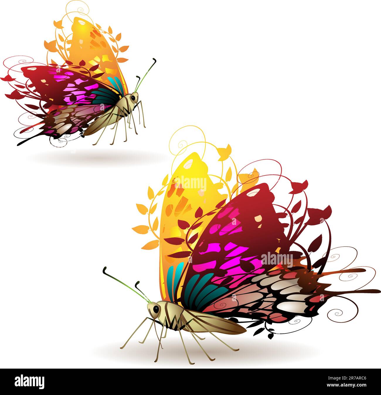 Small white with shadow on wing Stock Vector Images Alamy Small white with shadow on wing Stock Vector Images Alamy