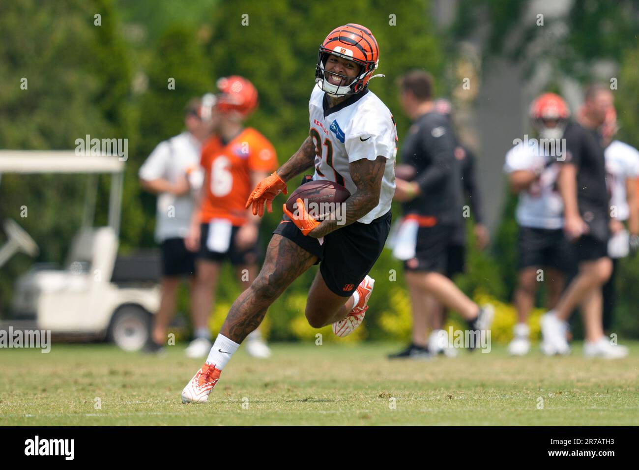 Cincinnati Bengals tight end Irv Smith Jr. (81) makes a catch during  practice at the team's NFL football training facility, Tuesday, June 6,  2023, in Cincinnati. (AP Photo/Jeff Dean Stock Photo - Alamy