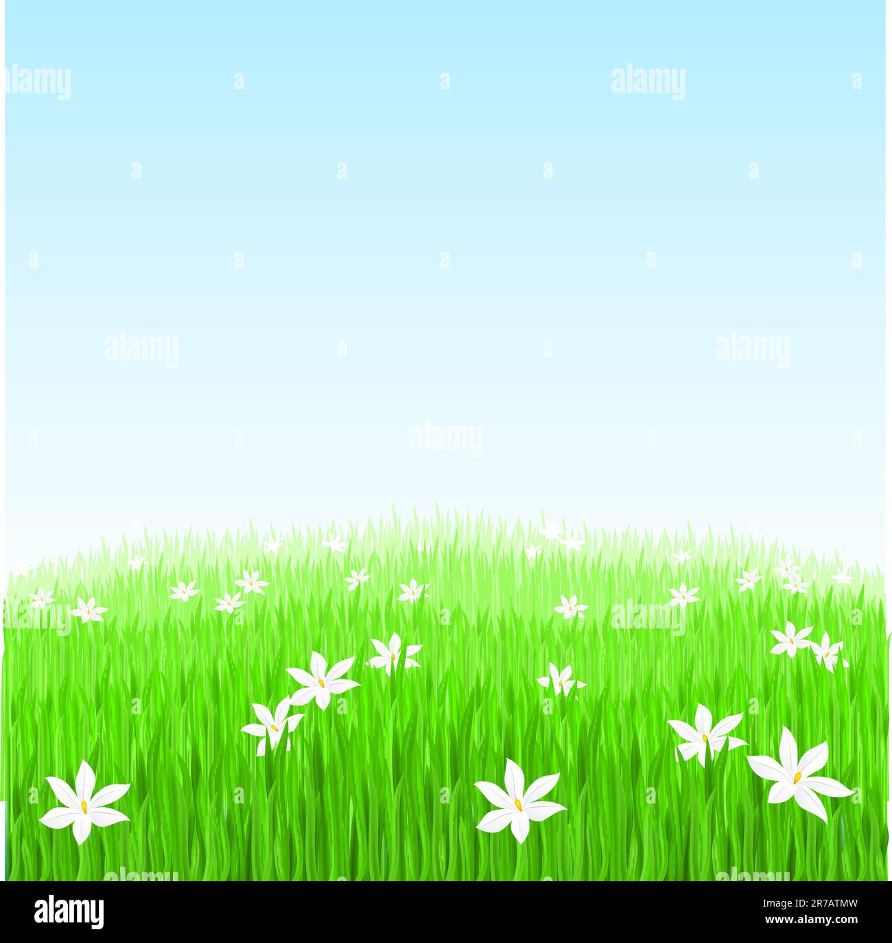 Illustration of Green grass with white flowers Stock Vector Image & Art ...