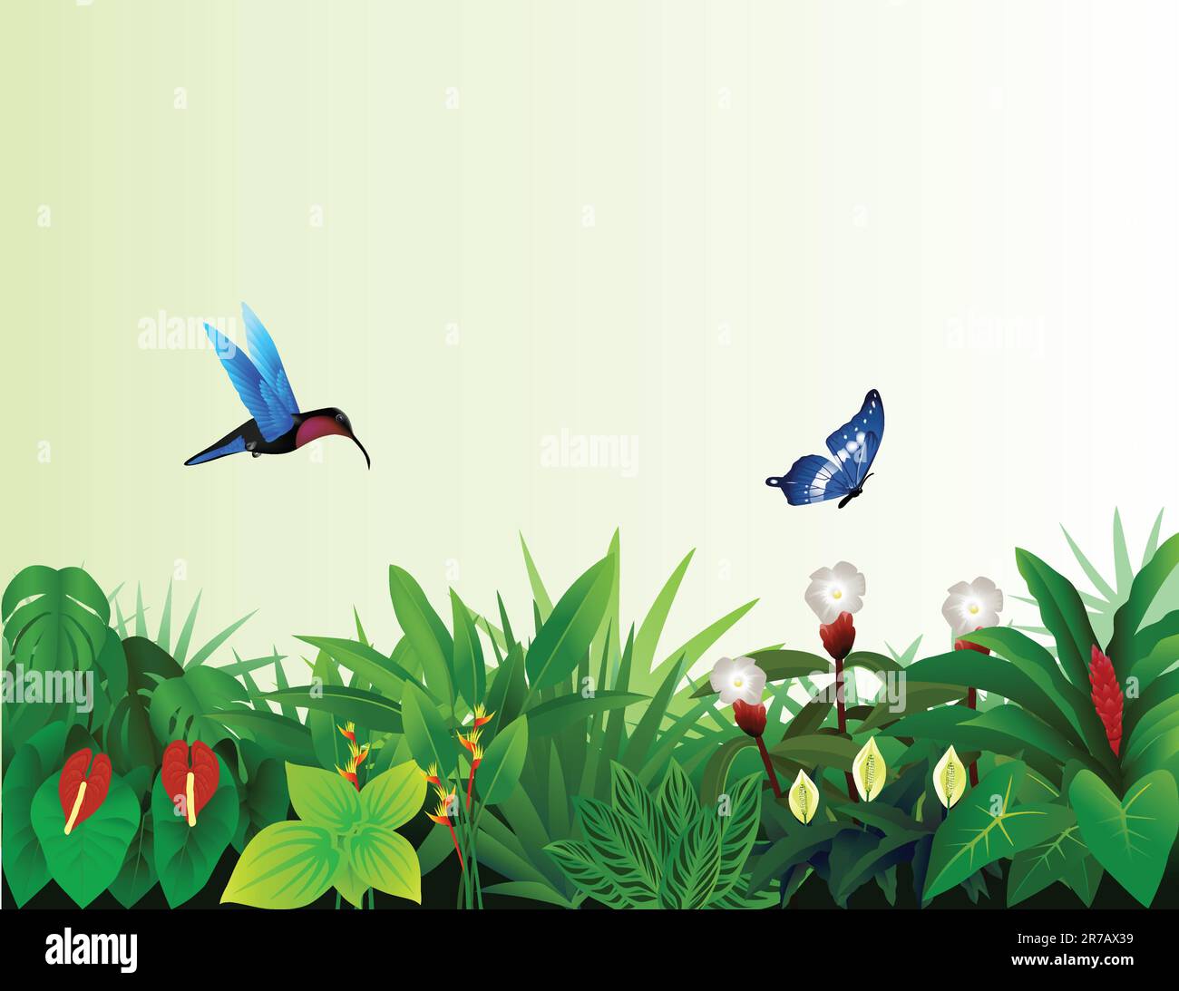 vector illustration of forest background Stock Vector Image & Art - Alamy