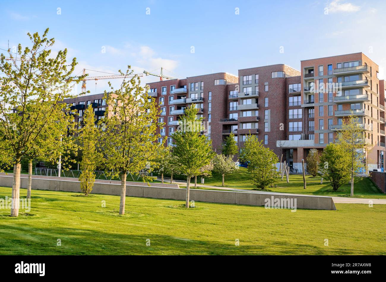 New apartment buildings along the edge a public park warmly lit by a setting sun in spring Stock Photo